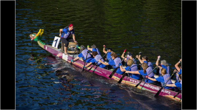 2017 BDBF Wellness Warriors Women